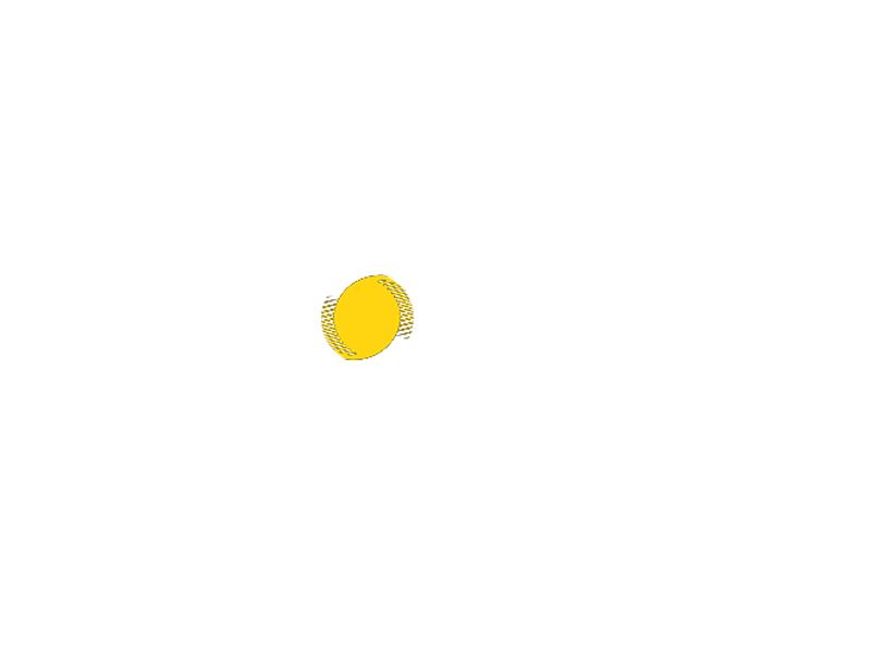 Xaver